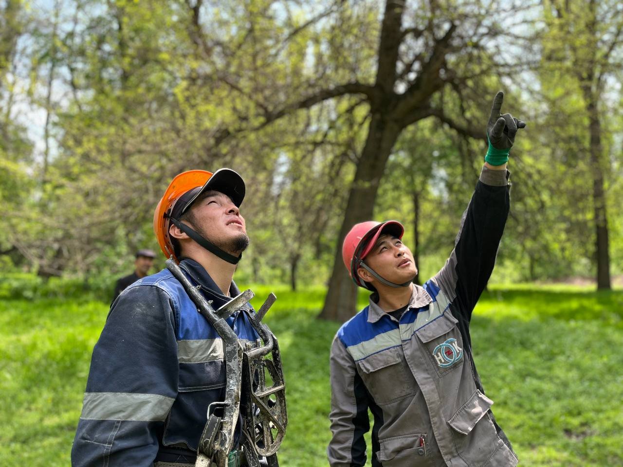 491866145_1230702312398953_3832596816593740105_n