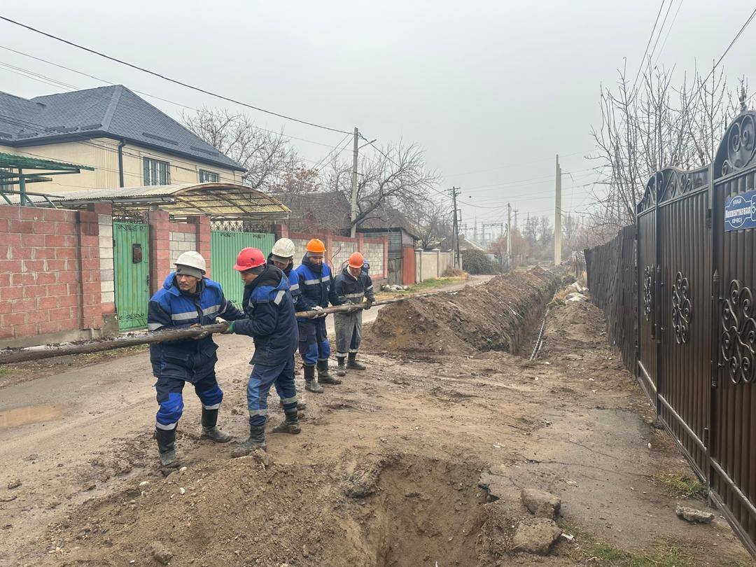 photo_5314346387954666683_y